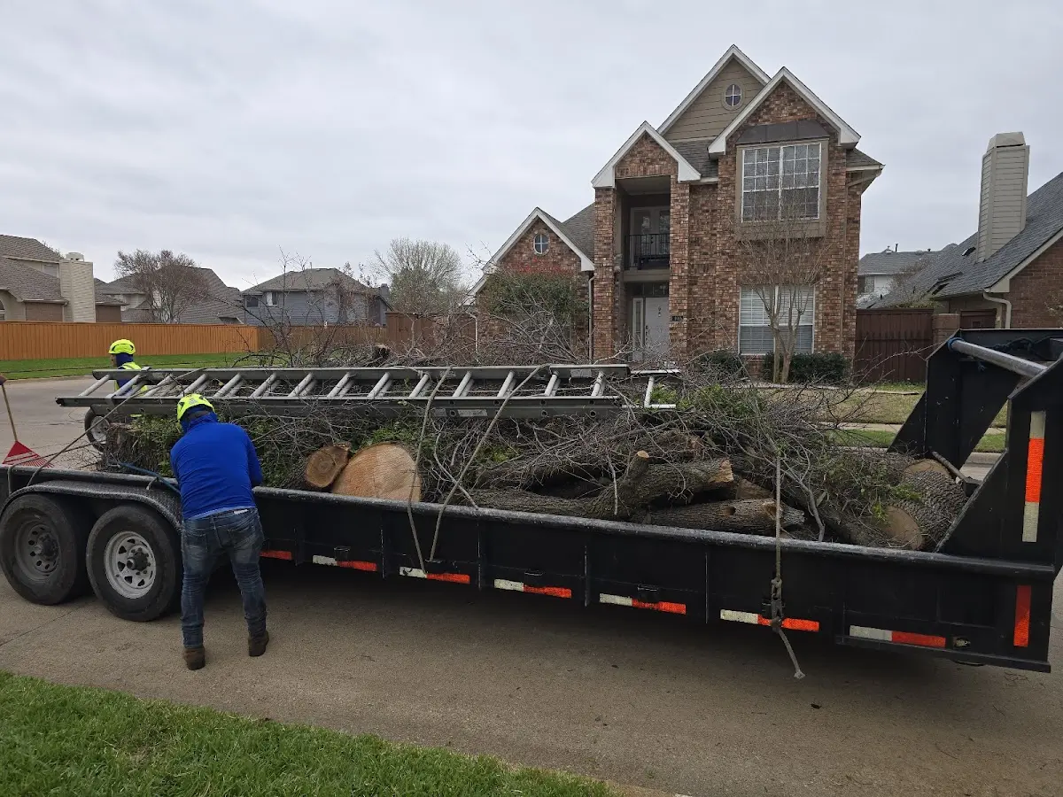 Expert Tree Fertilization with proper safety equipment in Saint Jo
